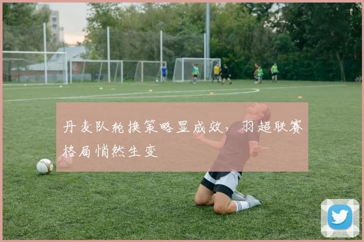 丹麦队轮换策略显成效,羽超联赛格局悄然生变 - 天下足球网推荐