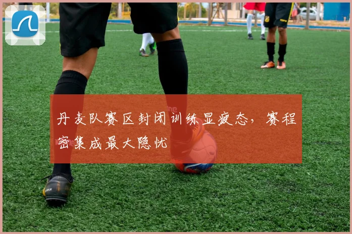 丹麦队赛区封闭训练显疲态,赛程密集成最大隐忧 - 天下足球网推荐